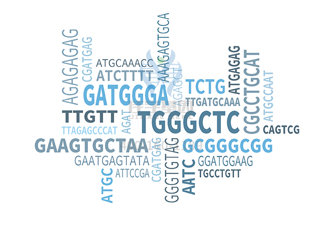 <b>【佳学基因检测】心血管内科分子诊断考查中关于AQP5的要点</b>